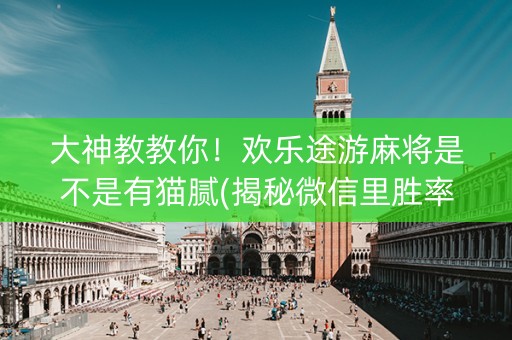大神教教你！欢乐途游麻将是不是有猫腻(揭秘微信里胜率到哪调)