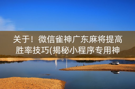 关于！微信雀神广东麻将提高胜率技巧(揭秘小程序专用神器)