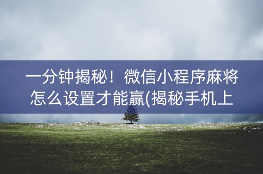 一分钟揭秘！微信小程序麻将怎么设置才能赢(揭秘手机上插件购买)