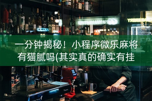 一分钟揭秘！小程序微乐麻将有猫腻吗(其实真的确实有挂)