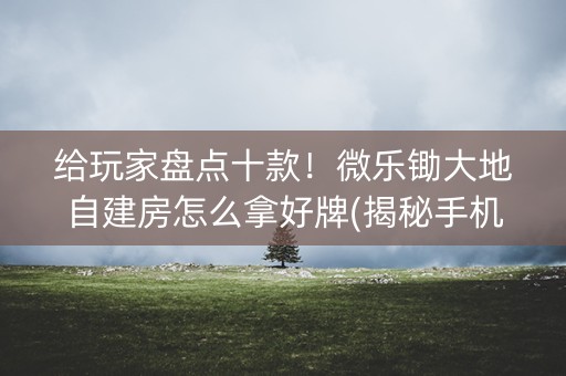给玩家盘点十款！微乐锄大地自建房怎么拿好牌(揭秘手机上规律攻略)