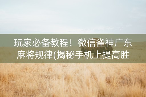 玩家必备教程！微信雀神广东麻将规律(揭秘手机上提高胜率)