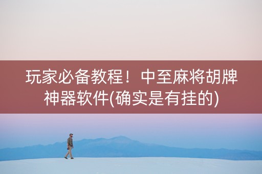 玩家必备教程！中至麻将胡牌神器软件(确实是有挂的)