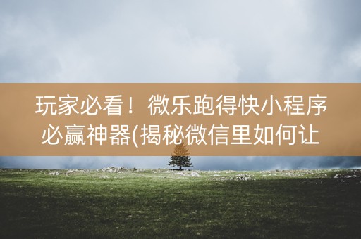 玩家必看！微乐跑得快小程序必赢神器(揭秘微信里如何让牌变好)