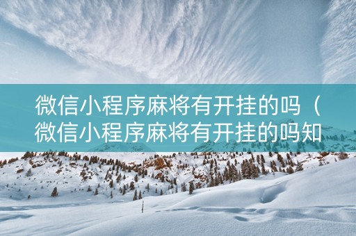 微信小程序麻将有开挂的吗（微信小程序麻将有开挂的吗知乎）