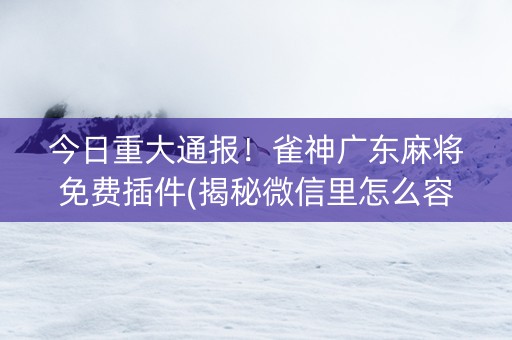 今日重大通报！雀神广东麻将免费插件(揭秘微信里怎么容易赢)