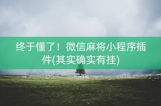 终于懂了！微信麻将小程序插件(其实确实有挂)