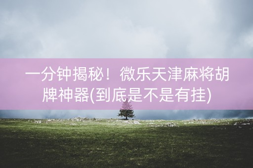 一分钟揭秘！微乐天津麻将胡牌神器(到底是不是有挂)