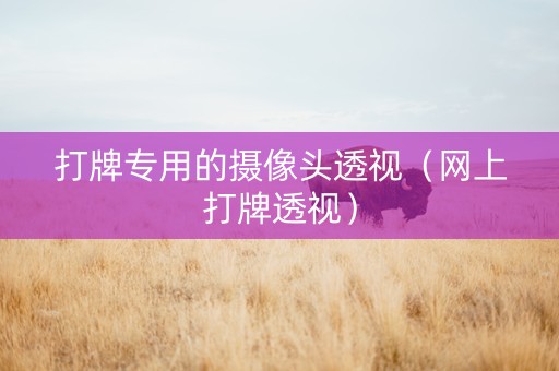 打牌专用的摄像头透视（网上打牌透视）