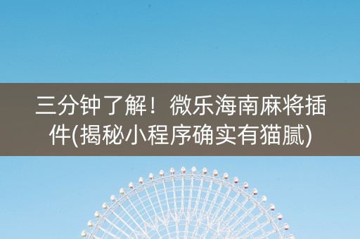 三分钟了解！微乐海南麻将插件(揭秘小程序确实有猫腻)