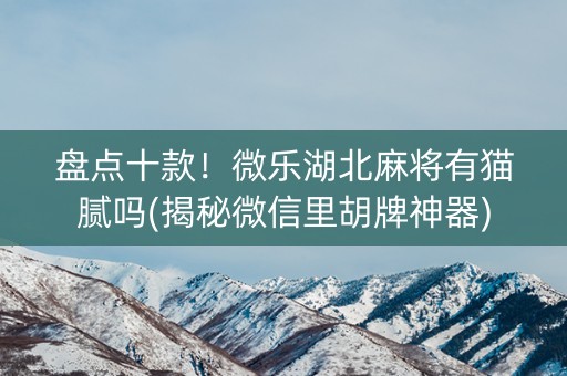 盘点十款！微乐湖北麻将有猫腻吗(揭秘微信里胡牌神器)