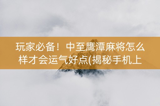 玩家必备！中至鹰潭麻将怎么样才会运气好点(揭秘手机上提高胜率)
