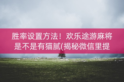 胜率设置方法！欢乐途游麻将是不是有猫腻(揭秘微信里提高赢的概率)