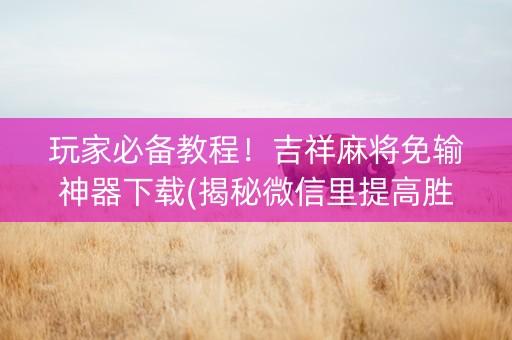 玩家必备教程！吉祥麻将免输神器下载(揭秘微信里提高胜率)
