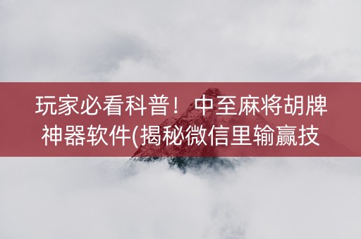 玩家必看科普！中至麻将胡牌神器软件(揭秘微信里输赢技巧)