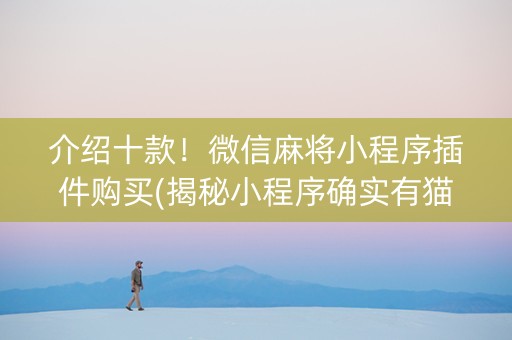 介绍十款！微信麻将小程序插件购买(揭秘小程序确实有猫腻)