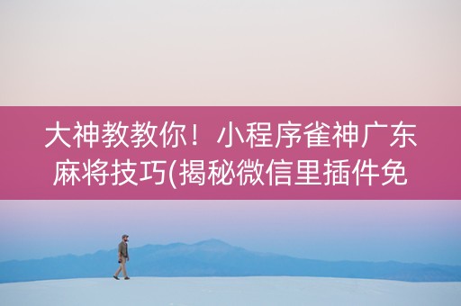 大神教教你！小程序雀神广东麻将技巧(揭秘微信里插件免费)