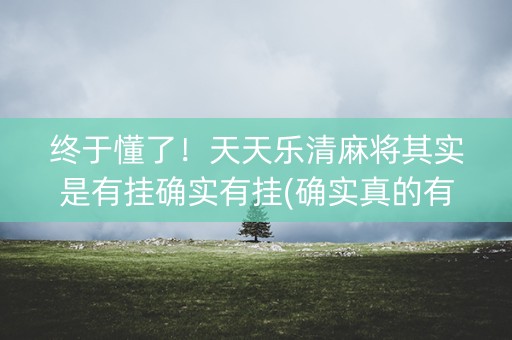 终于懂了！天天乐清麻将其实是有挂确实有挂(确实真的有挂)