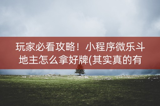 玩家必看攻略！小程序微乐斗地主怎么拿好牌(其实真的有挂)