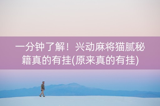 一分钟了解！兴动麻将猫腻秘籍真的有挂(原来真的有挂)