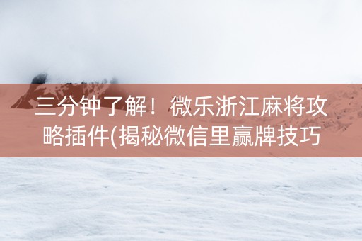 三分钟了解！微乐浙江麻将攻略插件(揭秘微信里赢牌技巧)