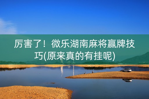 厉害了！微乐湖南麻将赢牌技巧(原来真的有挂呢)