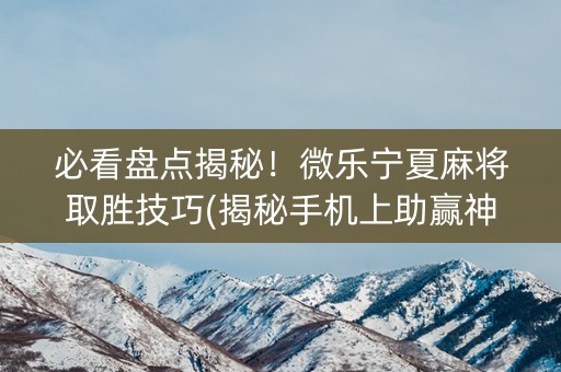必看盘点揭秘！微乐宁夏麻将取胜技巧(揭秘手机上助赢神器购买)