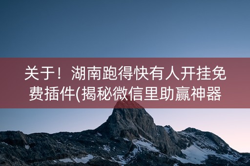 关于！湖南跑得快有人开挂免费插件(揭秘微信里助赢神器)