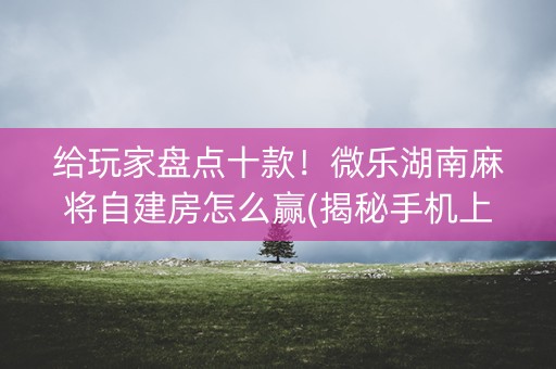 给玩家盘点十款！微乐湖南麻将自建房怎么赢(揭秘手机上胡牌神器)