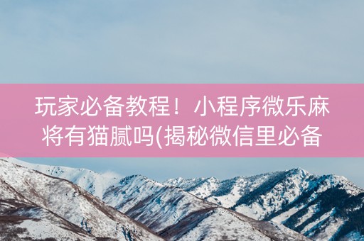 玩家必备教程！小程序微乐麻将有猫腻吗(揭秘微信里必备神器)