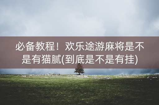 必备教程！欢乐途游麻将是不是有猫腻(到底是不是有挂)