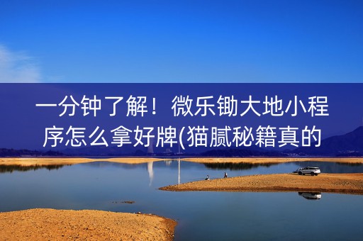 一分钟了解！微乐锄大地小程序怎么拿好牌(猫腻秘籍真的有挂)