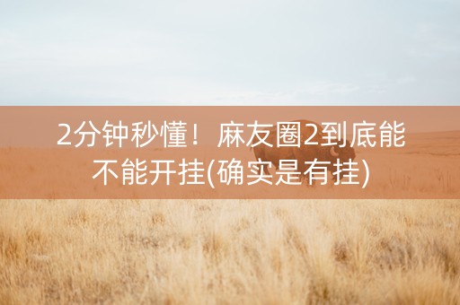 2分钟秒懂！麻友圈2到底能不能开挂(确实是有挂)