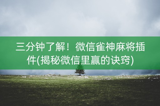 三分钟了解！微信雀神麻将插件(揭秘微信里赢的诀窍)
