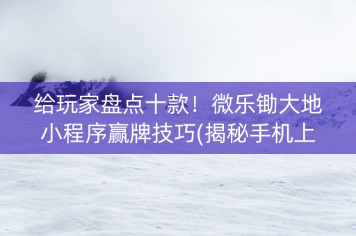 给玩家盘点十款！微乐锄大地小程序赢牌技巧(揭秘手机上辅牌器)