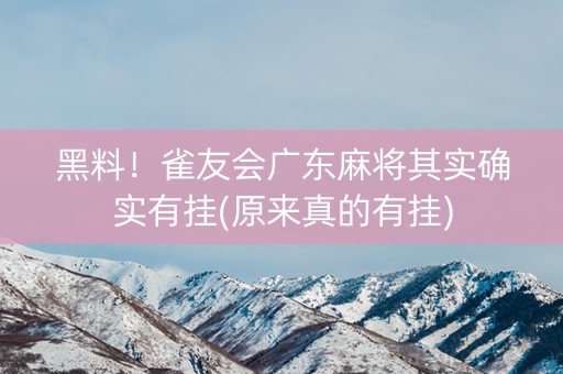 黑料！雀友会广东麻将其实确实有挂(原来真的有挂)