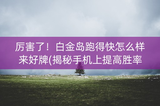厉害了！白金岛跑得快怎么样来好牌(揭秘手机上提高胜率)