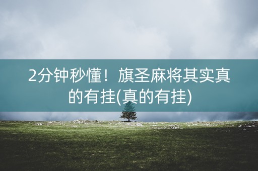 2分钟秒懂！旗圣麻将其实真的有挂(真的有挂)