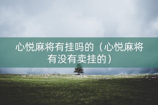 心悦麻将有挂吗的（心悦麻将有没有卖挂的）