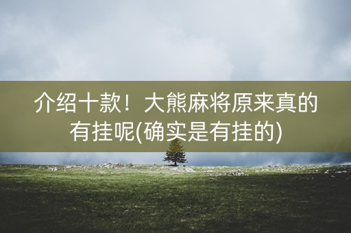 介绍十款！大熊麻将原来真的有挂呢(确实是有挂的)