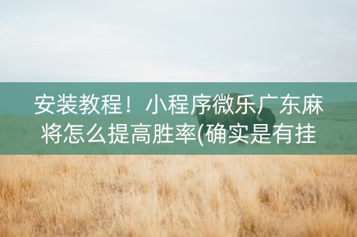 安装教程！小程序微乐广东麻将怎么提高胜率(确实是有挂)