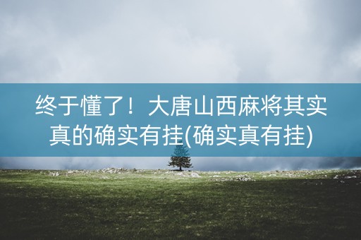 终于懂了！大唐山西麻将其实真的确实有挂(确实真有挂)