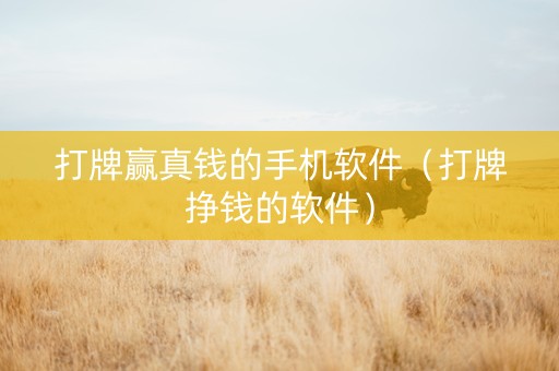 打牌赢真钱的手机软件（打牌挣钱的软件）