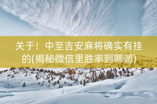 关于！中至吉安麻将确实有挂的(揭秘微信里胜率到哪调)