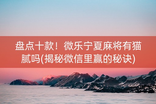 盘点十款！微乐宁夏麻将有猫腻吗(揭秘微信里赢的秘诀)