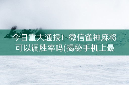 今日重大通报！微信雀神麻将可以调胜率吗(揭秘手机上最新神器下载)