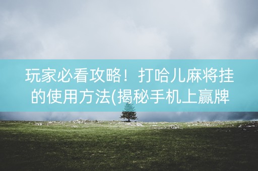 玩家必看攻略！打哈儿麻将挂的使用方法(揭秘手机上赢牌技巧)
