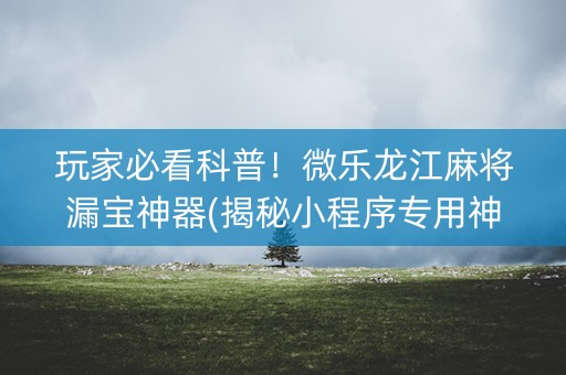 玩家必看科普！微乐龙江麻将漏宝神器(揭秘小程序专用神器下载)