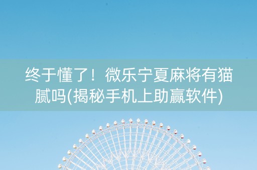 终于懂了！微乐宁夏麻将有猫腻吗(揭秘手机上助赢软件)