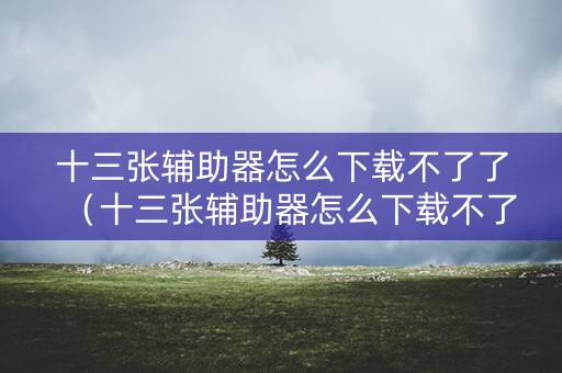 十三张辅助器怎么下载不了了（十三张辅助器怎么下载不了了呀）